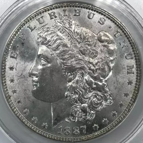 Morgan Silver Dollar (2)