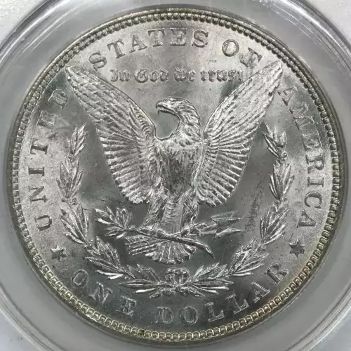 Morgan Silver Dollar (4)