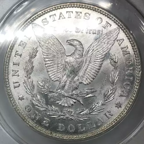 Morgan Silver Dollar (5)