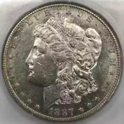 Morgan Silver Dollar (2)