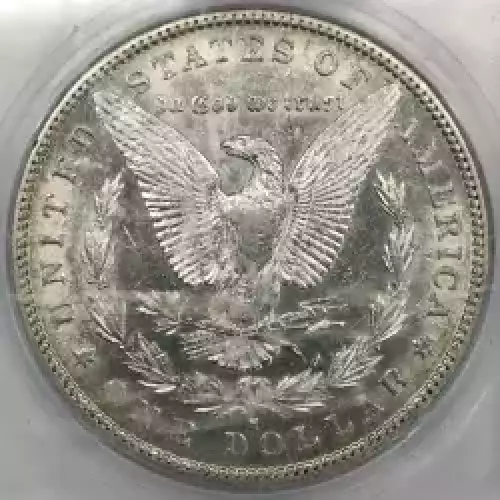 Morgan Silver Dollar (4)