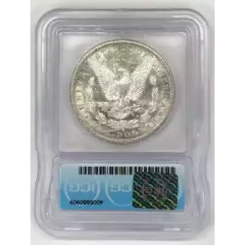 Morgan Silver Dollar (6)