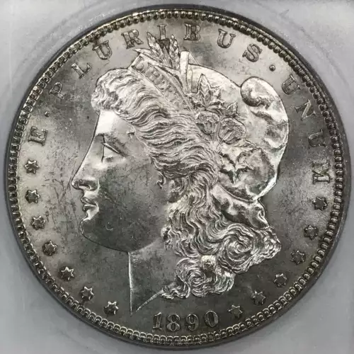 Morgan Silver Dollar (2)