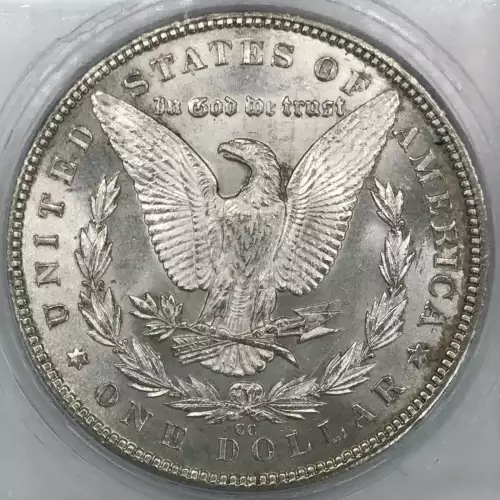 Morgan Silver Dollar (4)