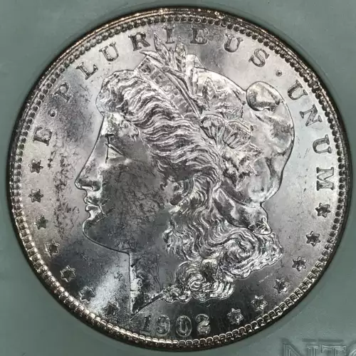 Morgan Silver Dollar (2)