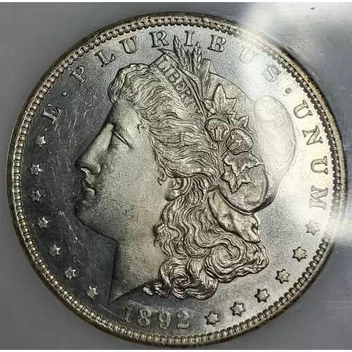 Morgan Silver Dollar (2)