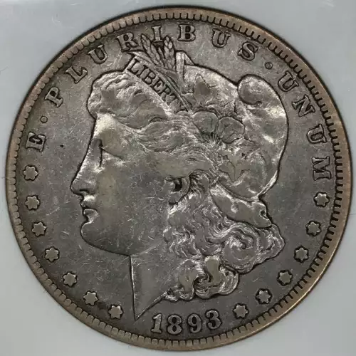 Morgan Silver Dollar (2)