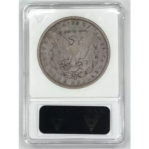 Morgan Silver Dollar (6)