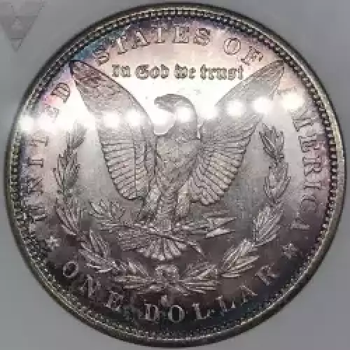 Morgan Silver Dollar