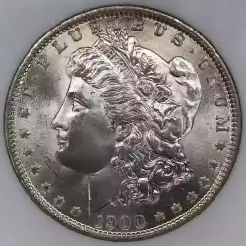 Morgan Silver Dollar