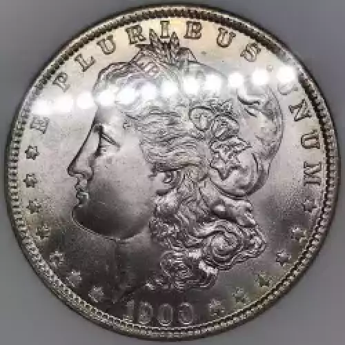 Morgan Silver Dollar