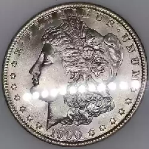 Morgan Silver Dollar