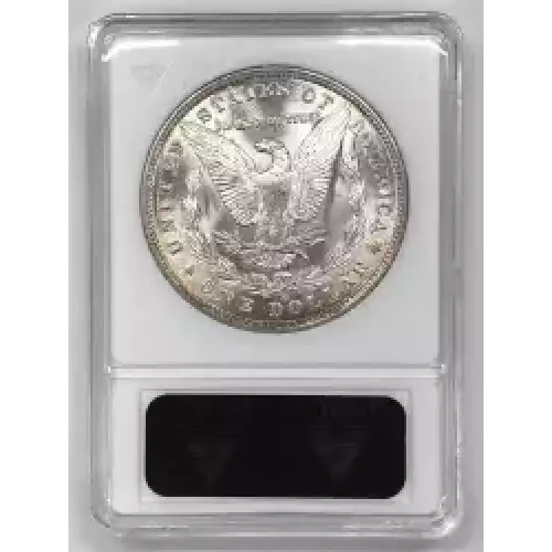 Morgan Silver Dollar