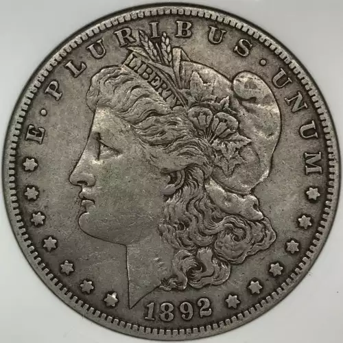 Morgan Silver Dollar (2)