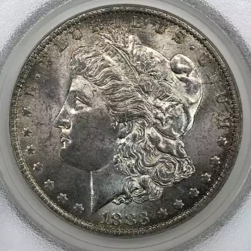 Morgan Silver Dollar