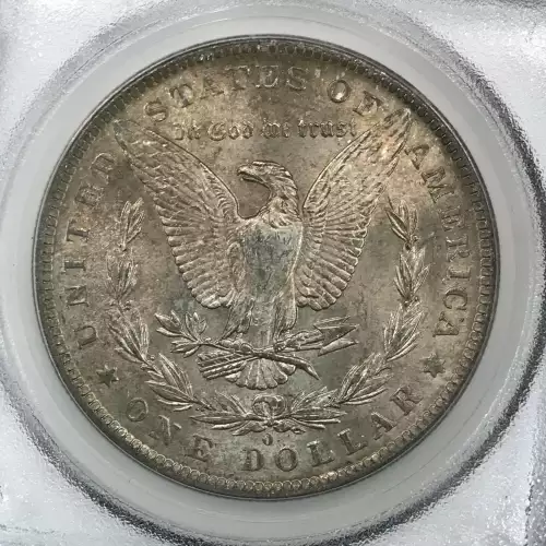 Morgan Silver Dollar (4)