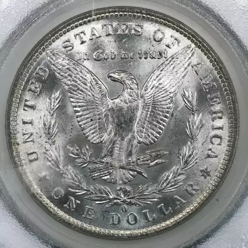 Morgan Silver Dollar