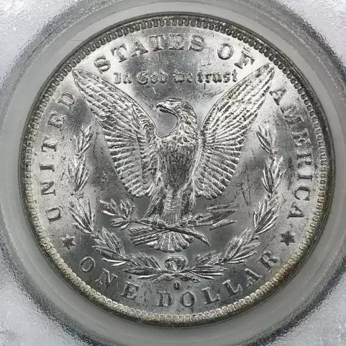 Morgan Silver Dollar (4)