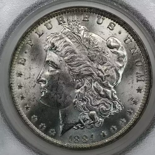 Morgan Silver Dollar