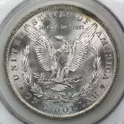 Morgan Silver Dollar (4)