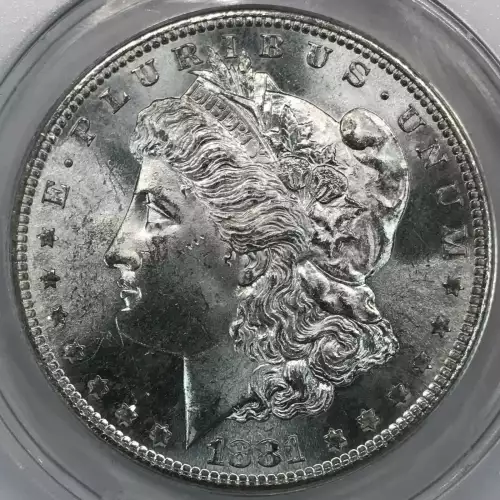 Morgan Silver Dollar (2)