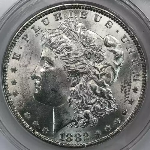 Morgan Silver Dollar (2)