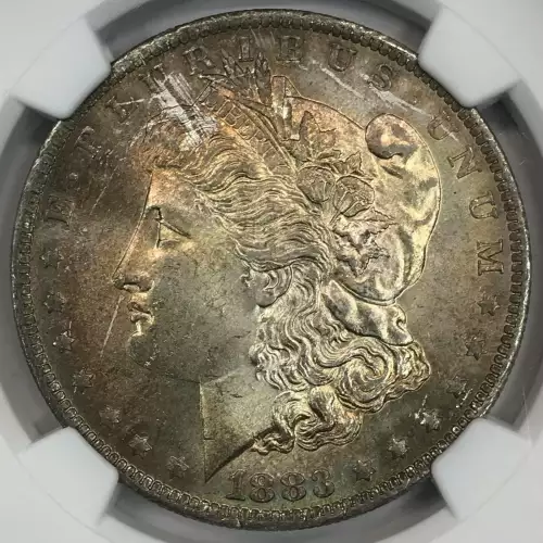 Morgan Silver Dollar (2)