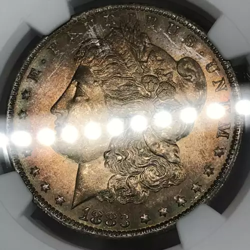 Morgan Silver Dollar (3)