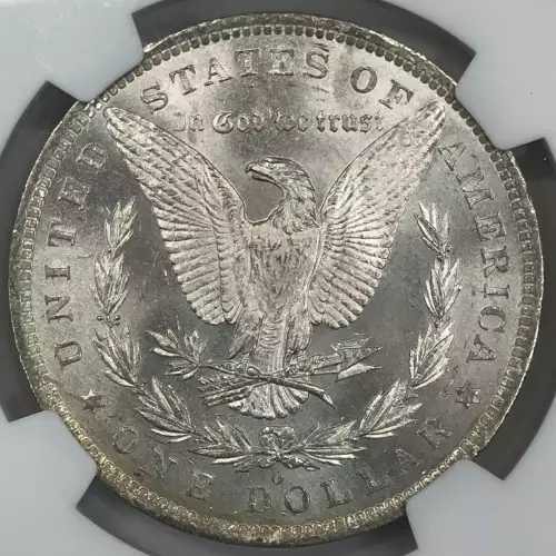 Morgan Silver Dollar (4)