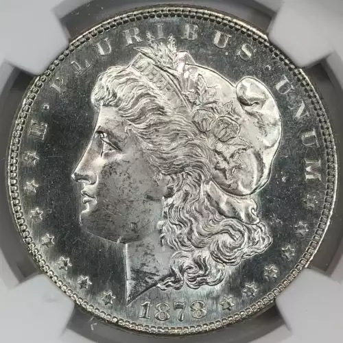 Morgan Silver Dollar (2)