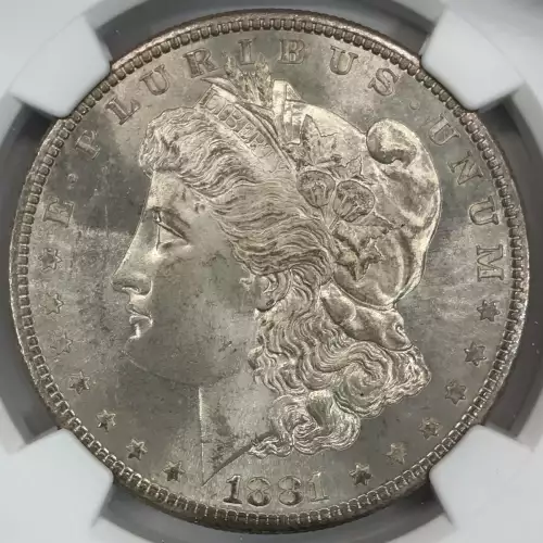 Morgan Silver Dollar (2)