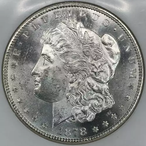 Morgan Silver Dollar (2)