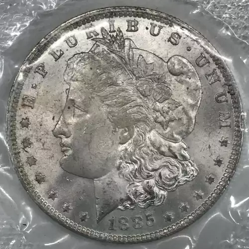 Morgan Silver Dollar (2)