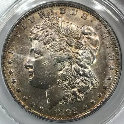 Morgan Silver Dollar (2)