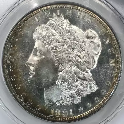 Morgan Silver Dollar (2)