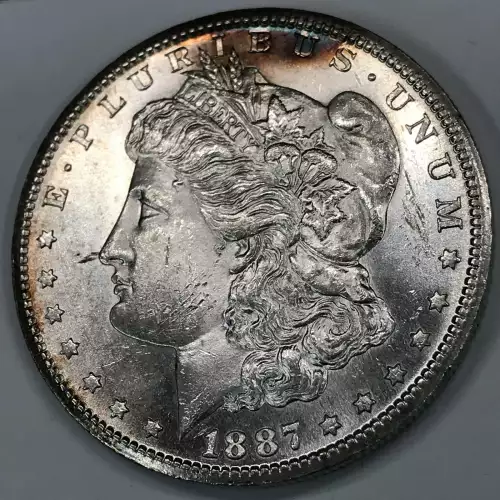 Morgan Silver Dollar