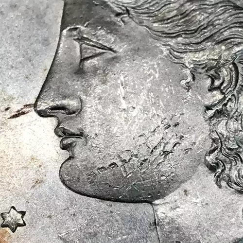 Morgan Silver Dollar