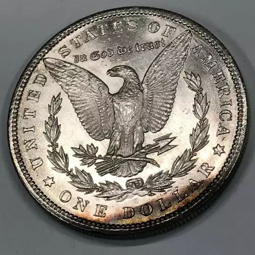 Morgan Silver Dollar