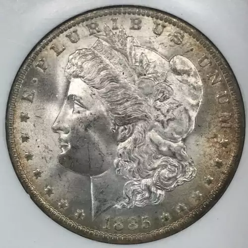 Morgan Silver Dollar