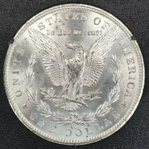 Morgan Silver Dollar