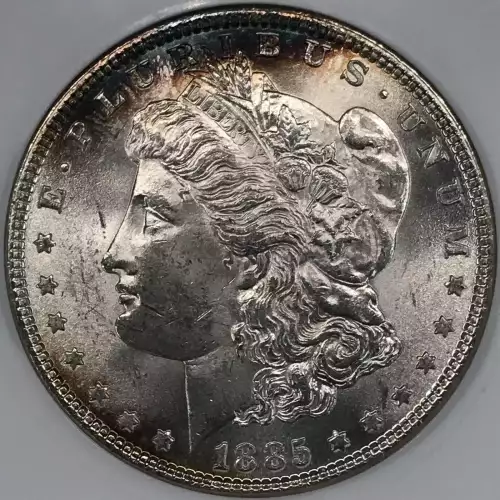Morgan Silver Dollar (2)