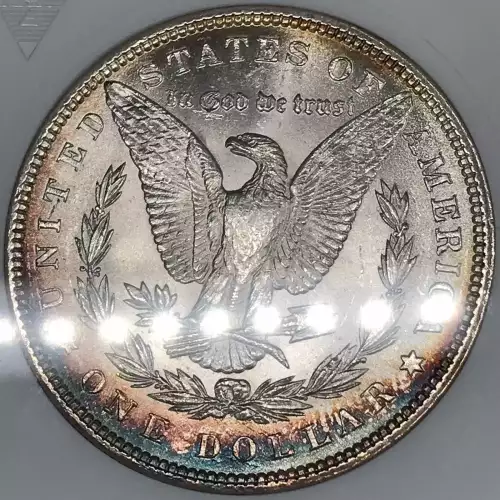 Morgan Silver Dollar (4)