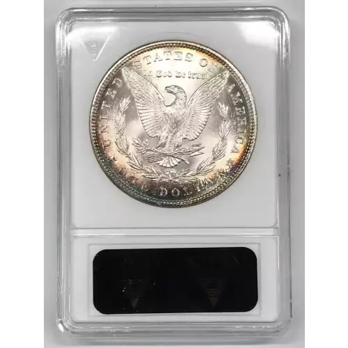 Morgan Silver Dollar (5)