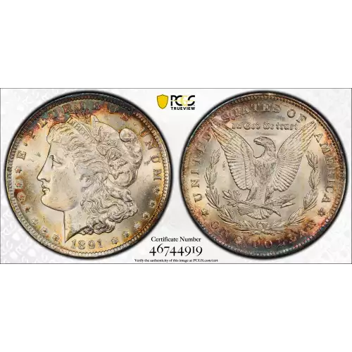 Morgan Silver Dollar