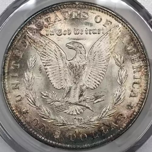 Morgan Silver Dollar (5)