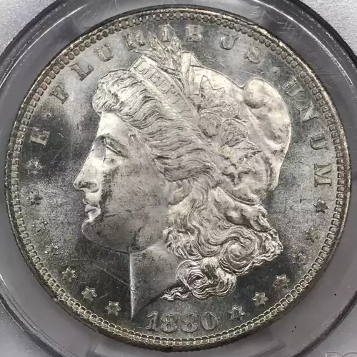 Morgan Silver Dollar