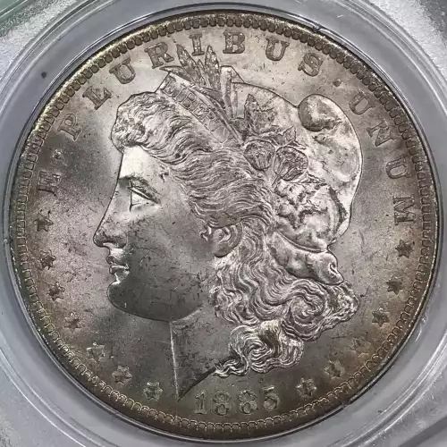 Morgan Silver Dollar (2)