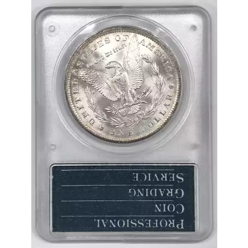 Morgan Silver Dollar (4)