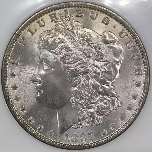 Morgan Silver Dollar (2)