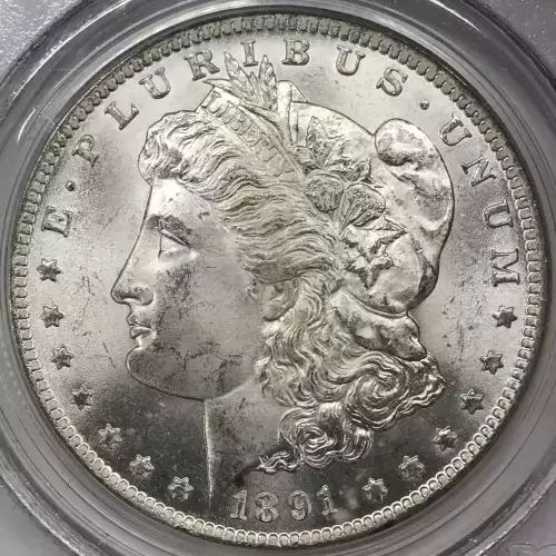 Morgan Silver Dollar